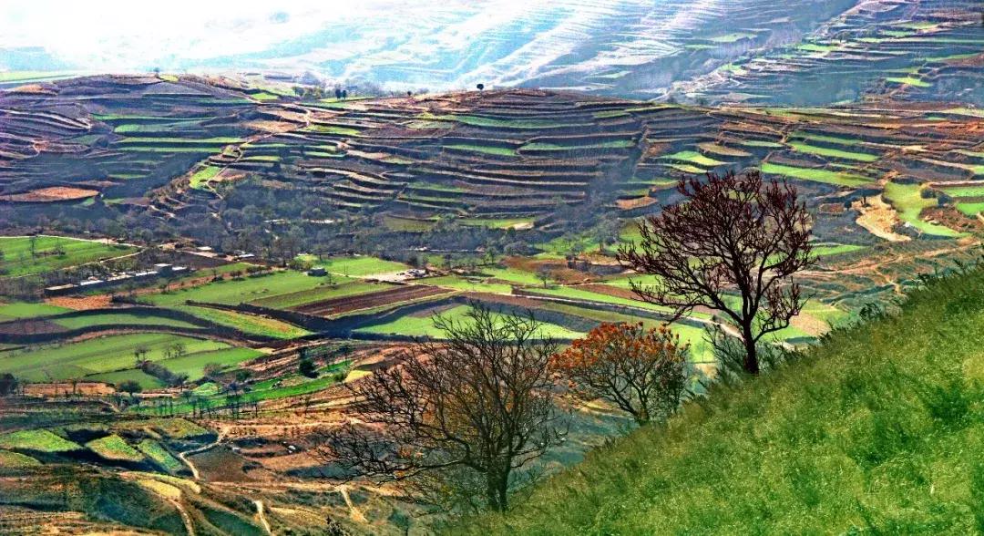 向世界介绍河南,向别人介绍郑州