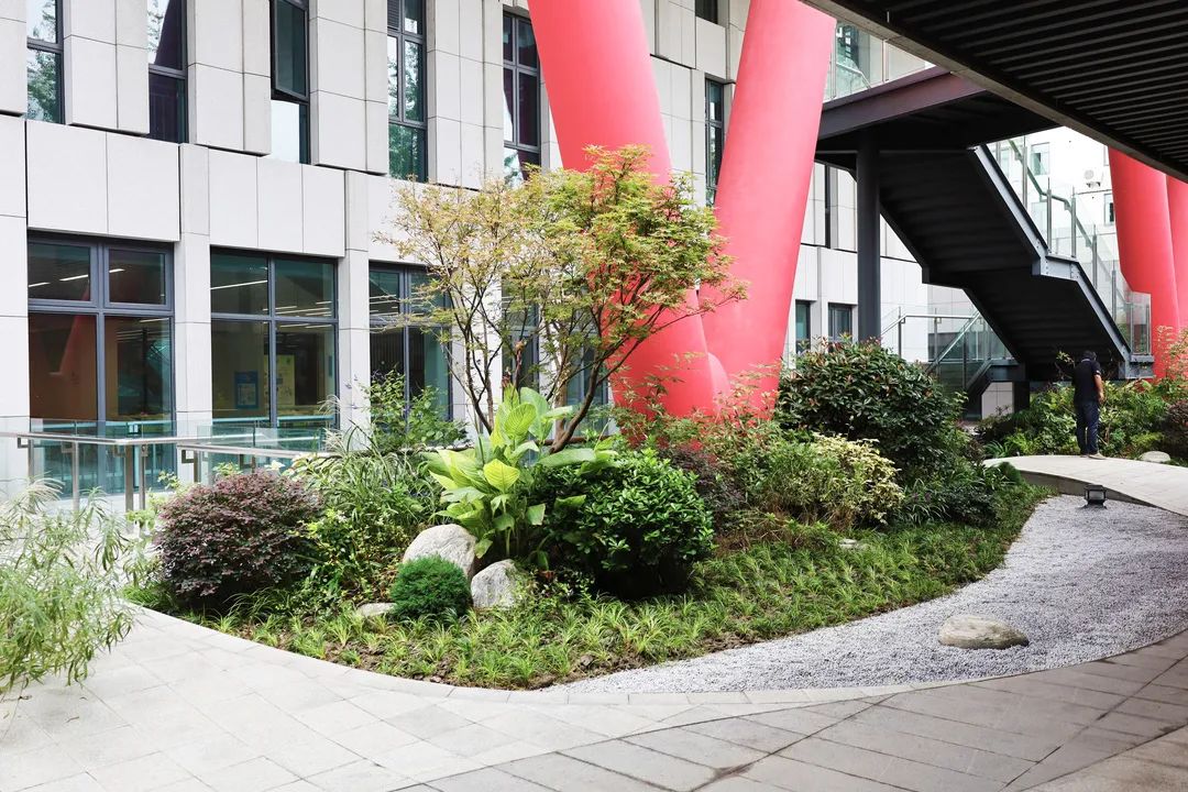 沪上“花园式”工地办公是怎样的体验？来看看这个白玉兰奖工程吧