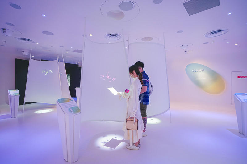 一人一猫环游,一人一猫旅行