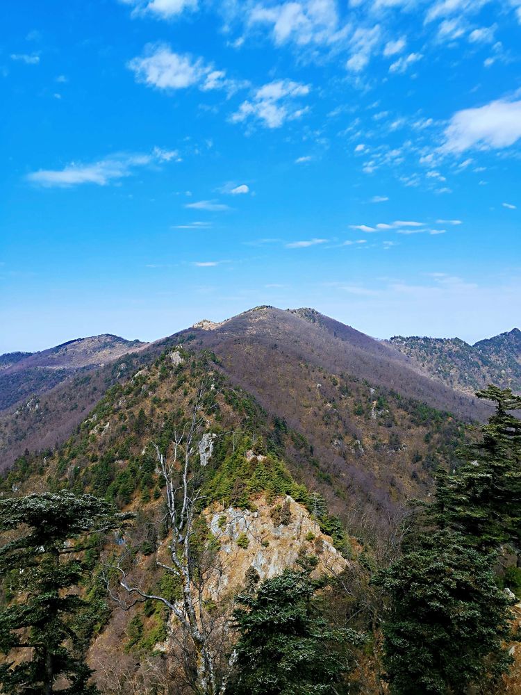 20201101惊悚之行~首阳山大坪梁单日横穿+原返