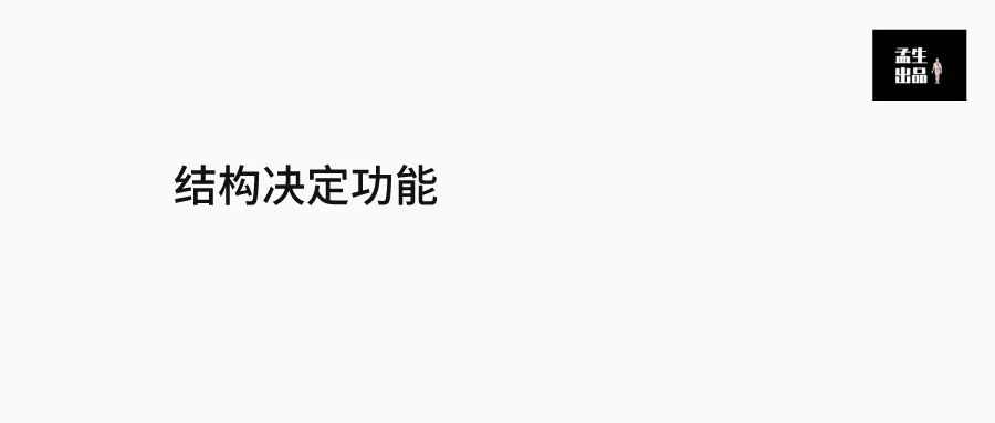 肩关节与肩胛骨的结构图,肩胛骨深层肌肉解剖图