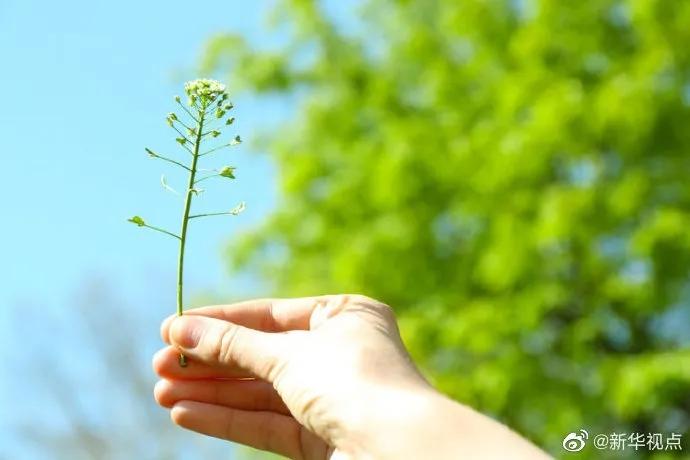 早安营口作品,早安营口鲅鱼圈