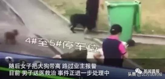 女子遛3只狗不牵绳！湖北男子遭狗撕咬*体下**受伤严重，缝了30多针