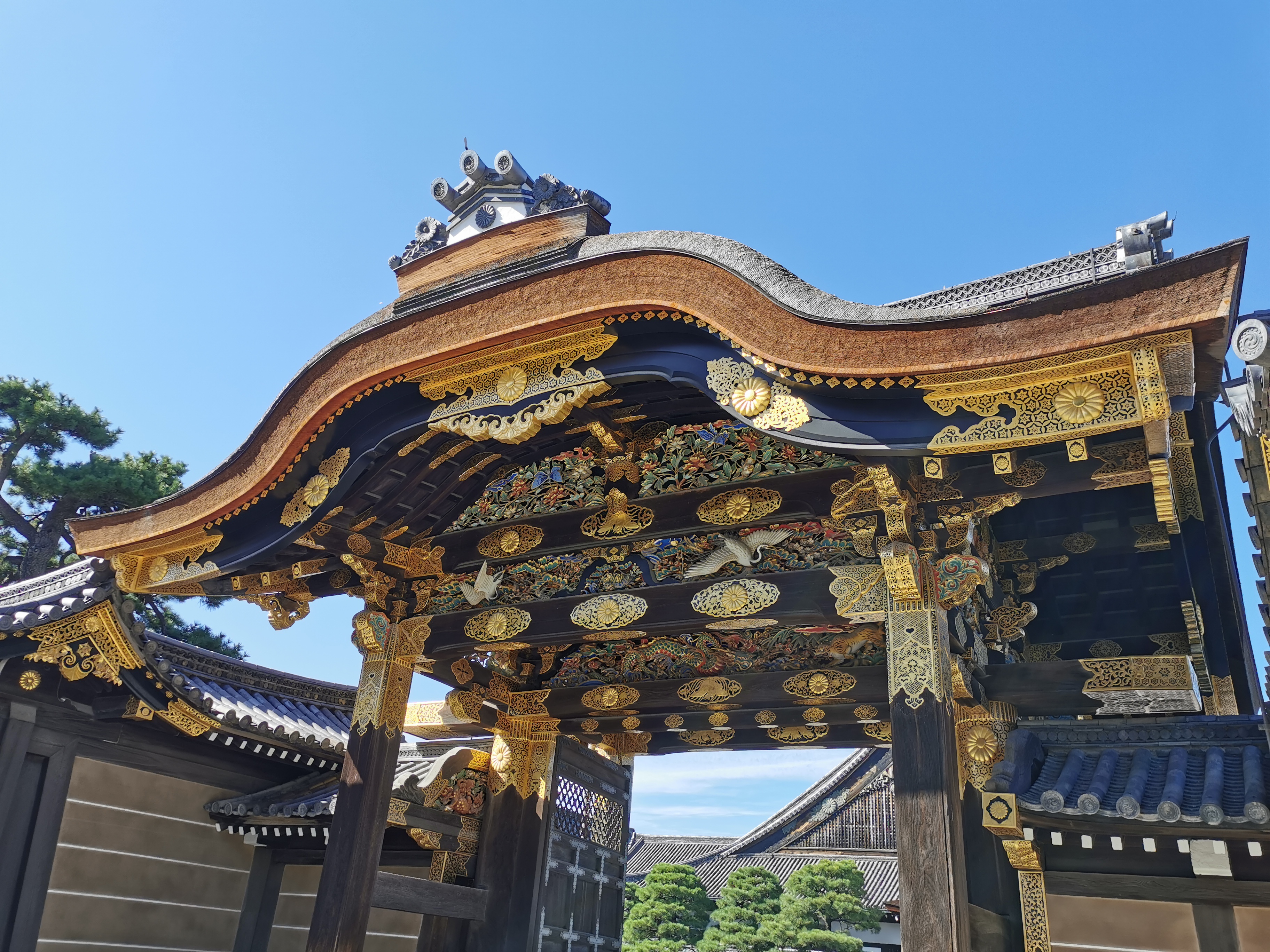 京都大阪6日自助亲子游攻略，做好这些准备，带娃一样轻松