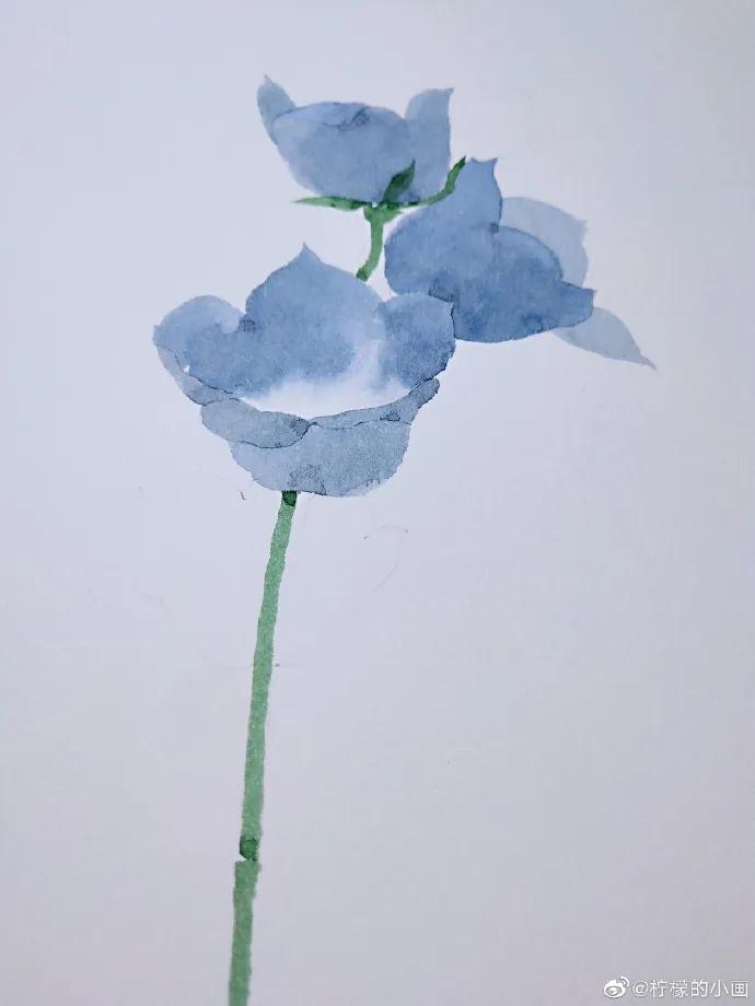 分享一组好看的小清新水彩插画,不来看看简单水彩小插画的教程吗