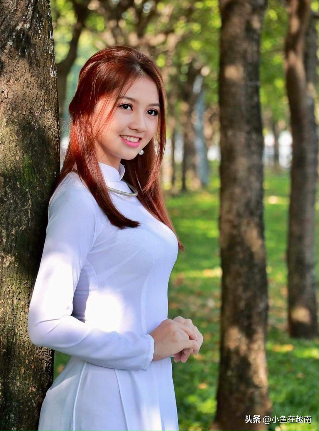 如何自己办理越南签证流程,如何快速办理越南签证