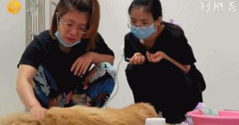 8.1国产良心,分分钟救你「狗命」