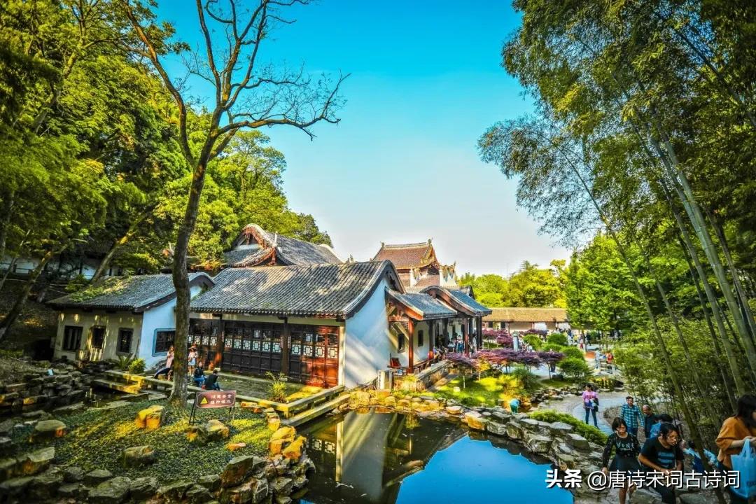 8首歌咏杏花唯美古诗词,春日游杏花吹满头陌上谁家年少