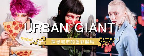 英树即将全部更新换代,英树全系列