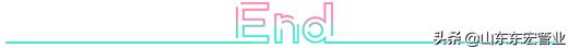 山东东宏管业2019年销售额,山东东宏管业简介