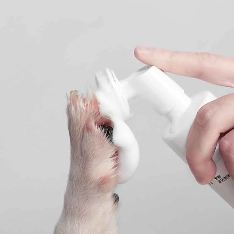 趾间炎狗狗怎么预防,下雨天怎么预防狗狗趾间炎