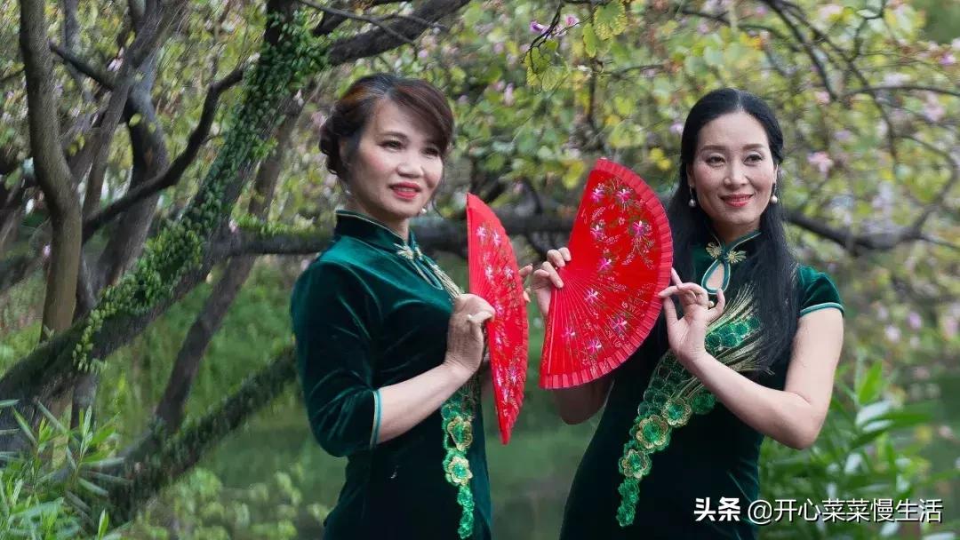 肇庆七星岩景区可以玩多久,全国最便宜的5a级景区