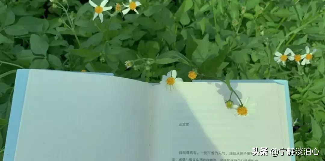 一日慎独则心安日日精进,日日精进人生