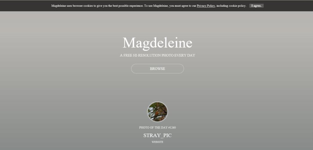 有各种图片资源的网站,高效搜图网站