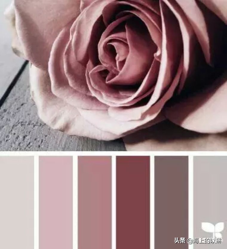 好看的干枯玫瑰豆沙色,阿玛尼干枯玫瑰色105气质豆沙色