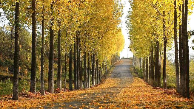 宝鸡市凤翔区是不是地级市,从宝鸡凤翔到秦始皇陵怎么坐车