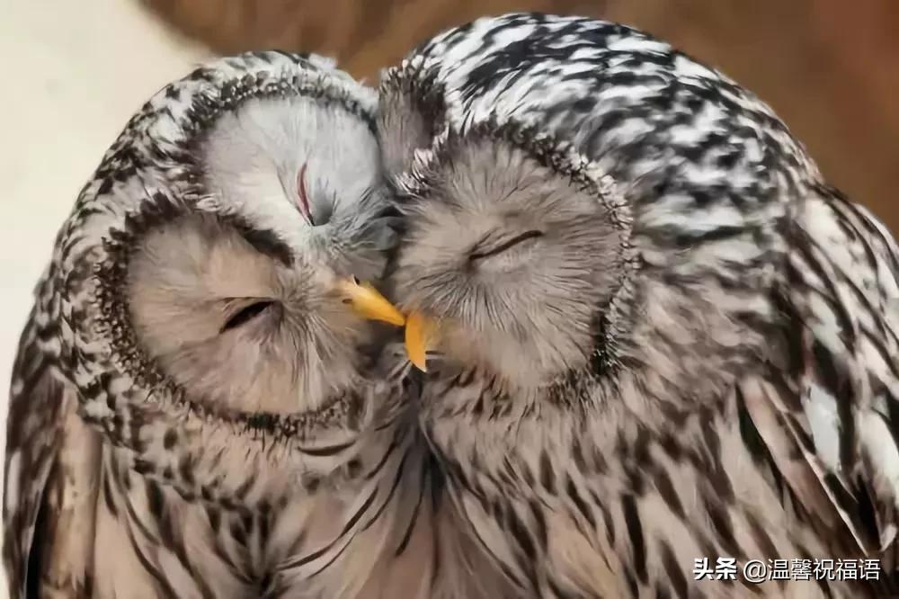 今天3月10，我的妈呀！谁编的，太好笑了，给群里乐一乐