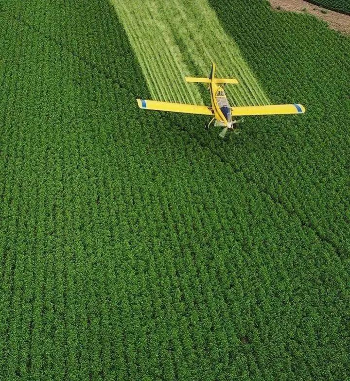 用钱去做农业会怎样,去农村搞种植业投资怎样做最好