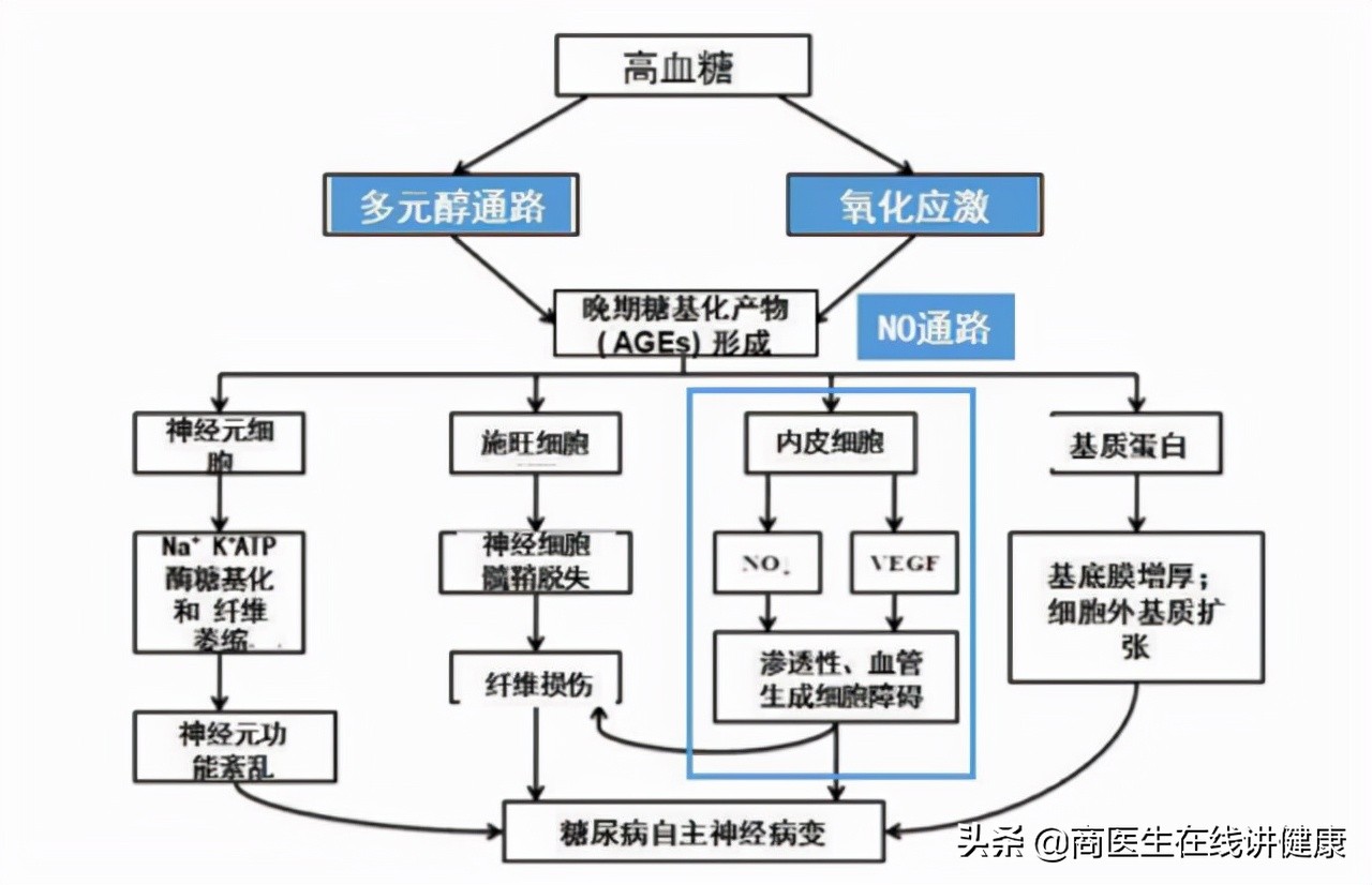 糖尿病神经病变吃甲钴胺能痊愈吗,糖尿病神经周围病变吃甲钴胺多久