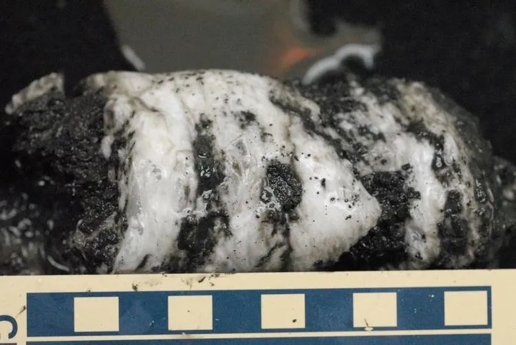 新能源给人类带来的优点,中国发现新能源可以用多少年