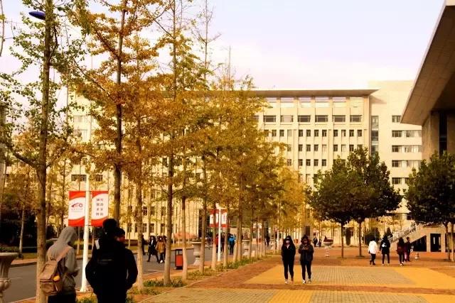 辽宁省普通高等院校大连大学,辽宁省交通高等专科学校15届