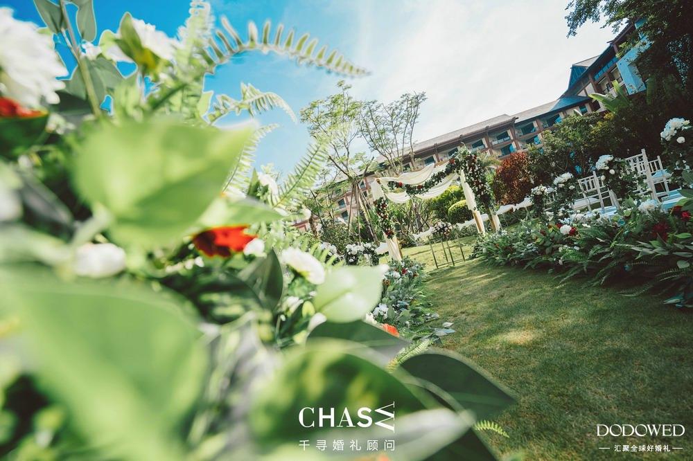 dowed婚礼案例,dodowed教程