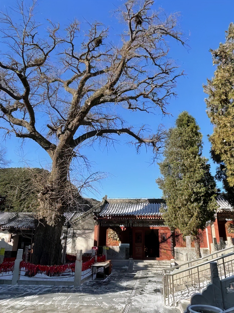 宛如仙境的景点,犹如仙境般的雪景