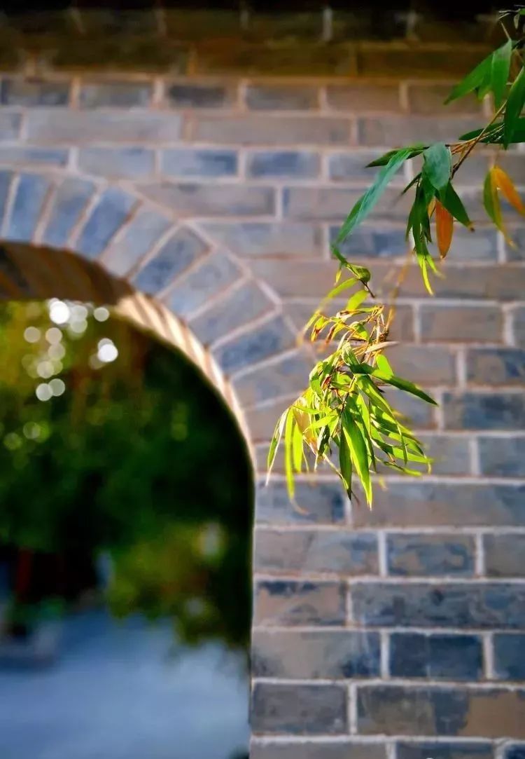 漫随天外云卷云舒原文,漫随天外云卷舒小说