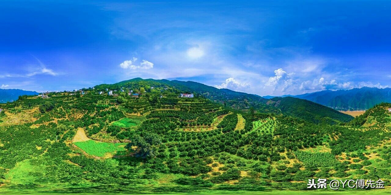 秭归沙镇溪茶叶,宜昌秭归沙镇溪