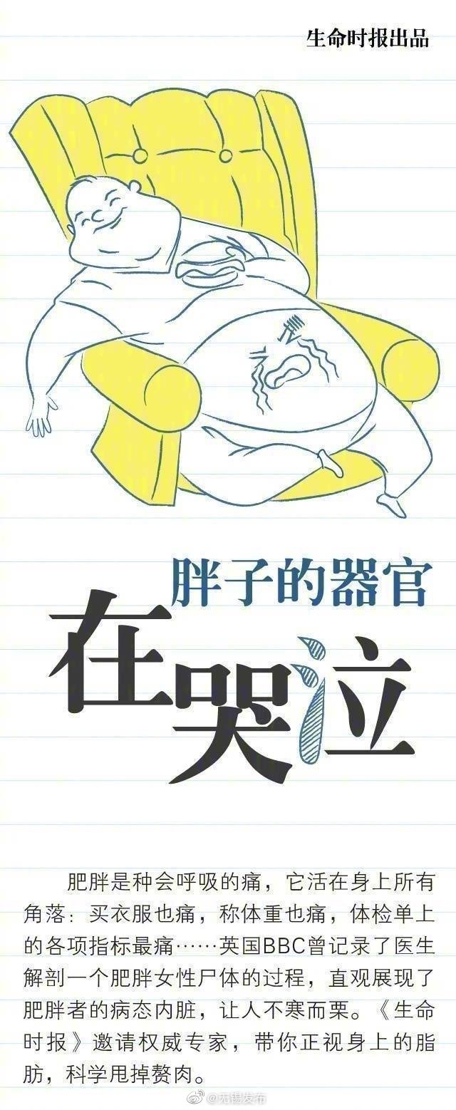 你需要减肥,不反弹最快的减肥法