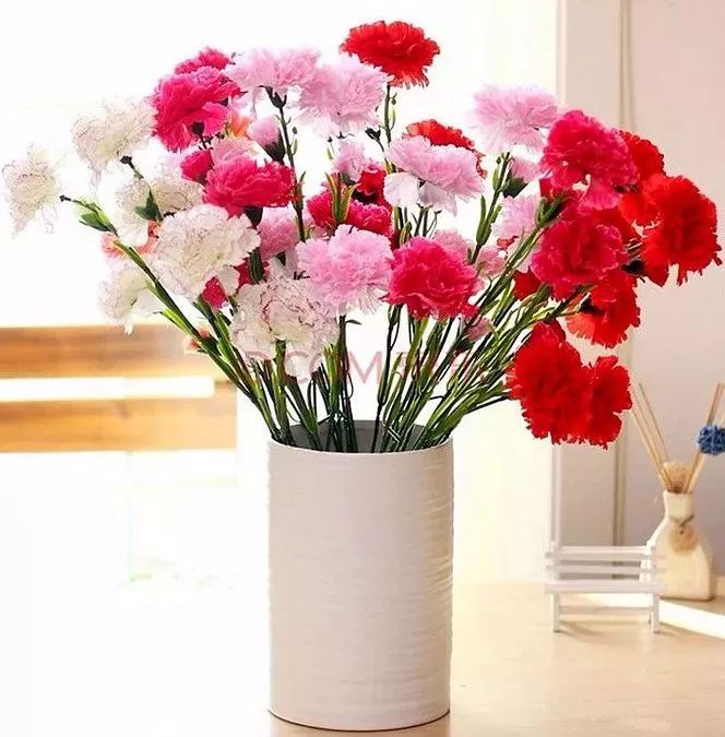 南飞雁古筝原唱,南飞雁答友人