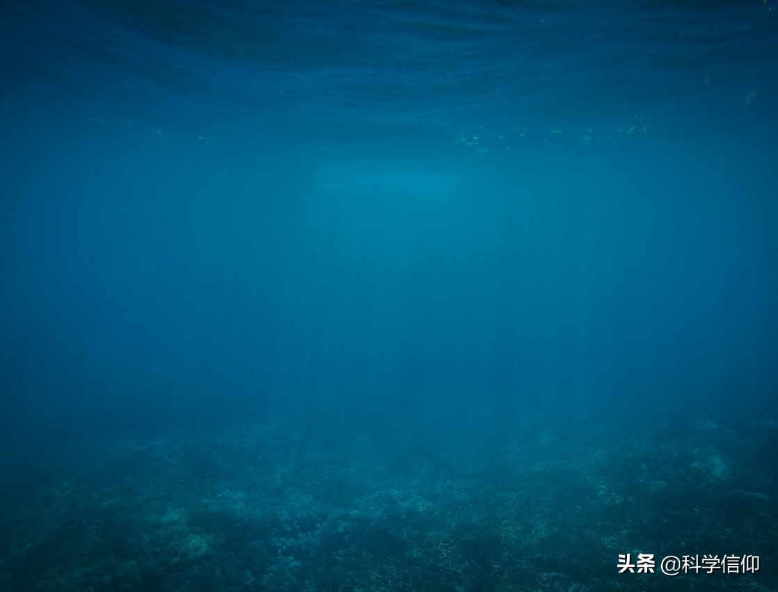 地球生命是如何诞生的？生命有多复杂？生命可以人工制造吗？