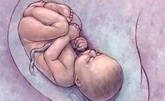 怀孕一月内喝酒对胎儿有什么影响,怀孕期间喝酒对胎儿有什么危害