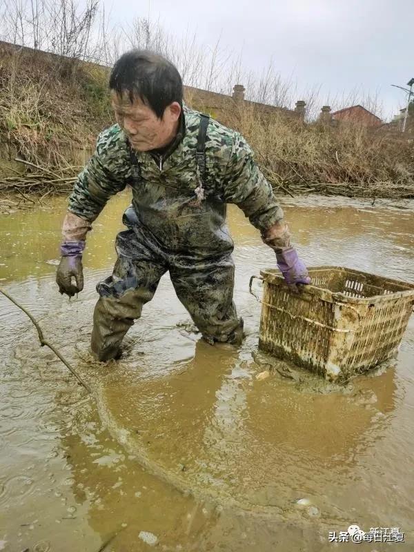 抗疫故事书籍,抗疫历史故事