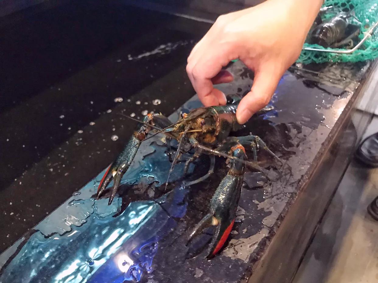 同样是虾价格怎么差这么多,同样是虾为什么价格不一样