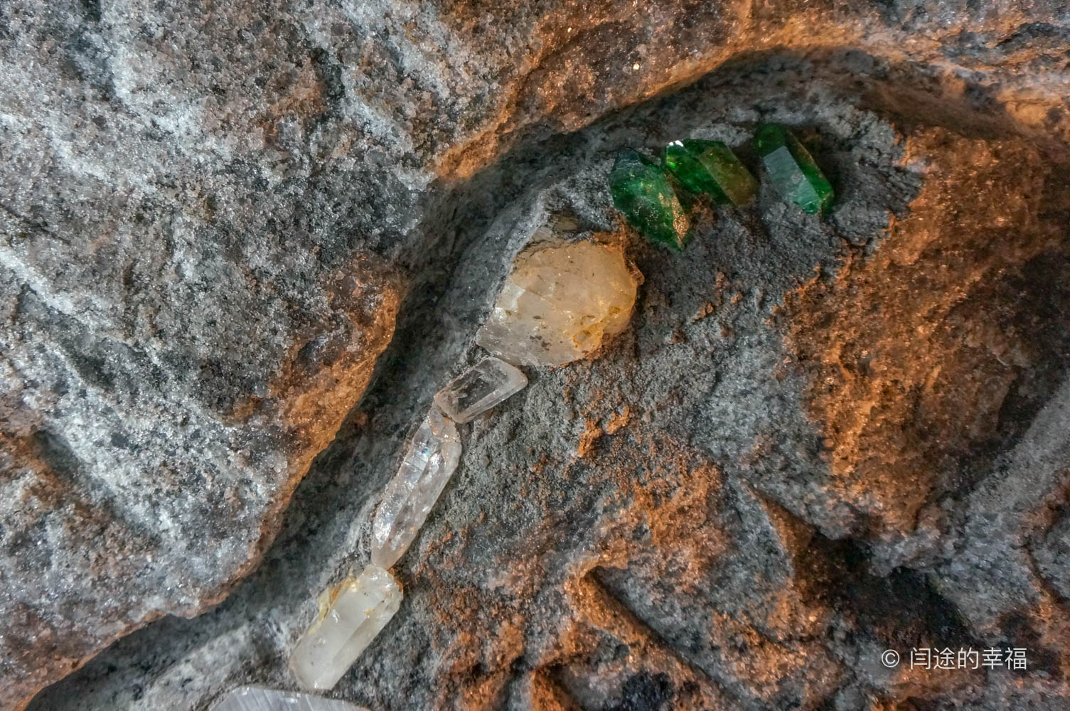 哥伦比亚大陆黄金,哥伦比亚的黄金贵吗