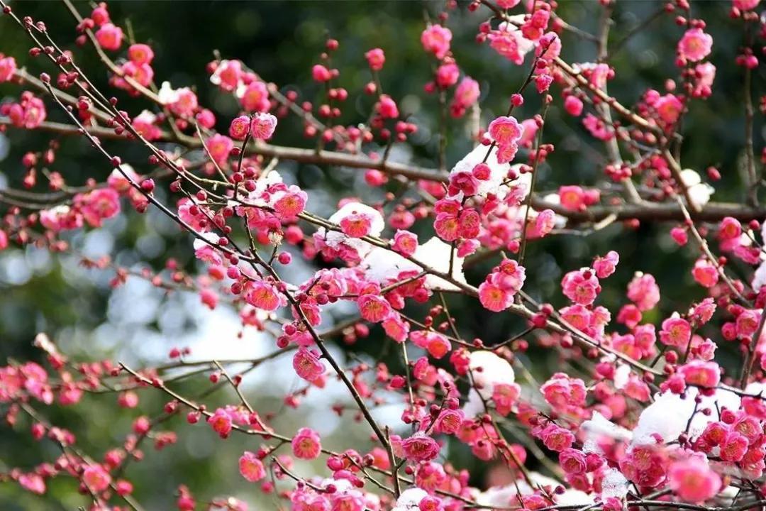 我想和你在漳州做完这一百件事情