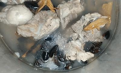 身披铠甲的土肥圆，土鳖不是形容词，而是餐桌上100一斤的美食