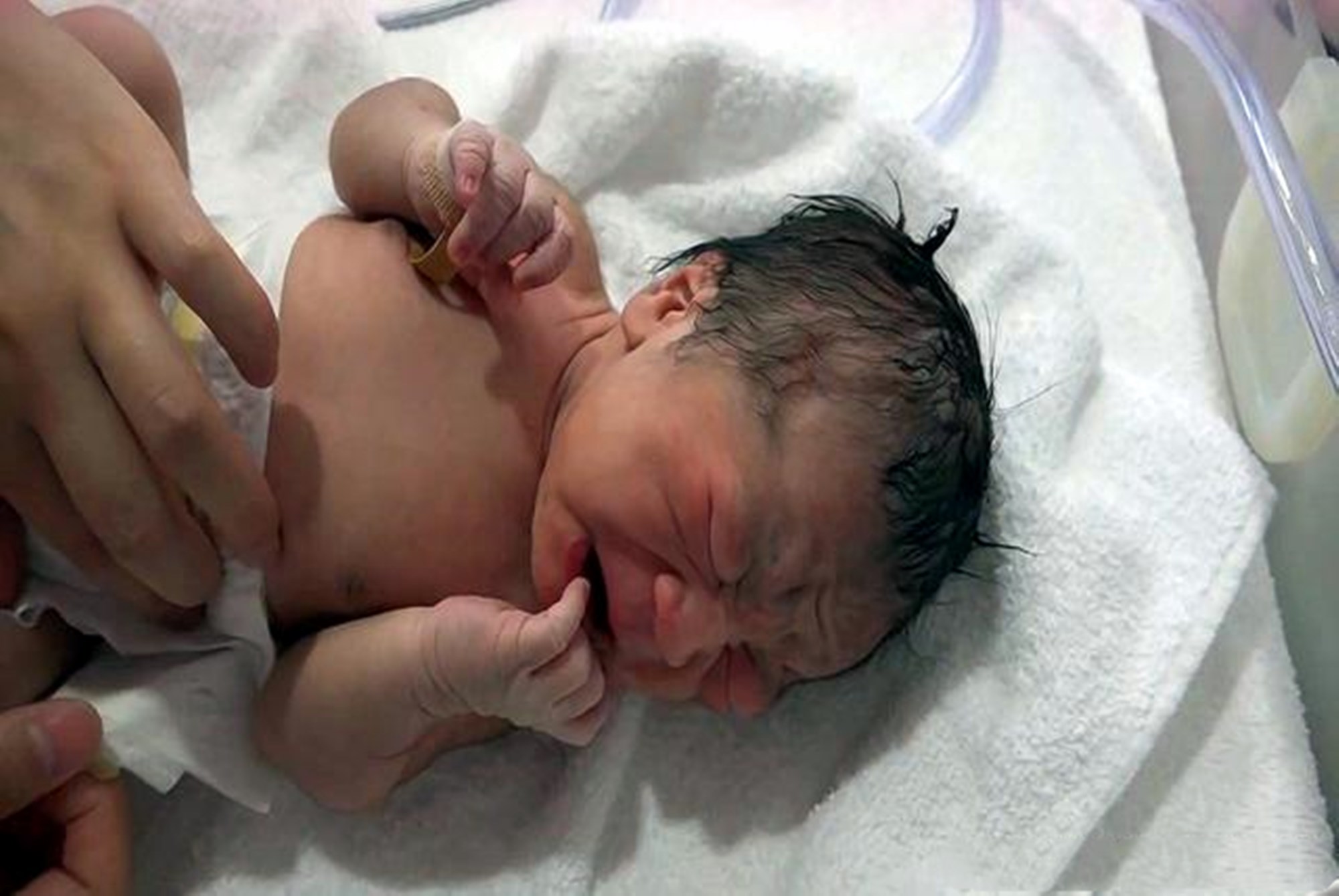 0-6月龄宝宝的养育重点,宝宝每个月生长注意事项