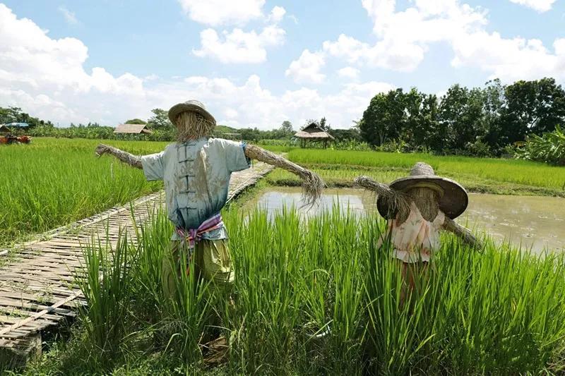 生态生物链家庭农场经营模式,农场盘活资产的最佳方法