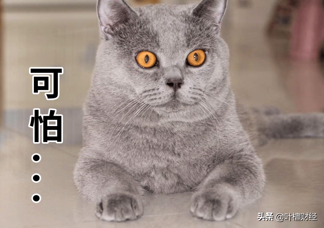 叶檀股票投资思维,叶檀股市思维