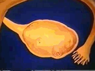 女性体内的神秘“暗线”:竟能支配月经