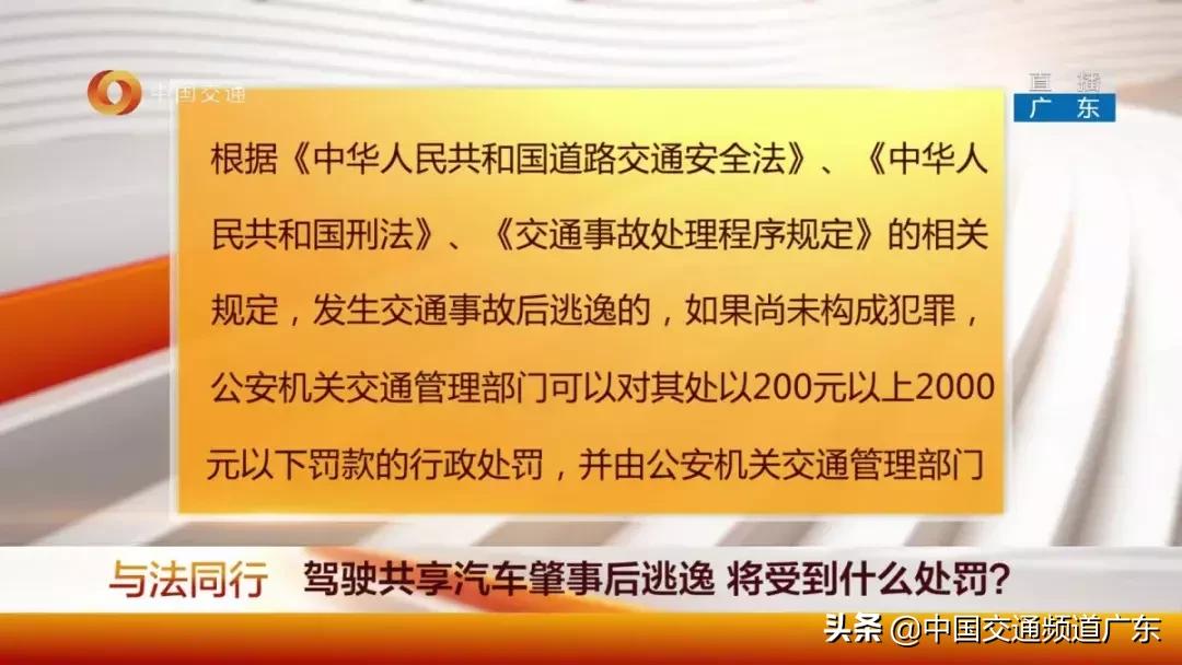 共享汽车交警队处理违章吗,交通事故同等责任车主要承担什么