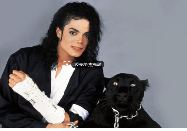 迈克尔杰克逊和女儿照片大全,迈克尔杰克逊的女儿颜值担当