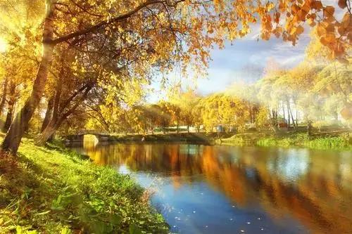 郎酒再闯IPO硬伤几何?淘汰赛考验汪俊林要填多少坑