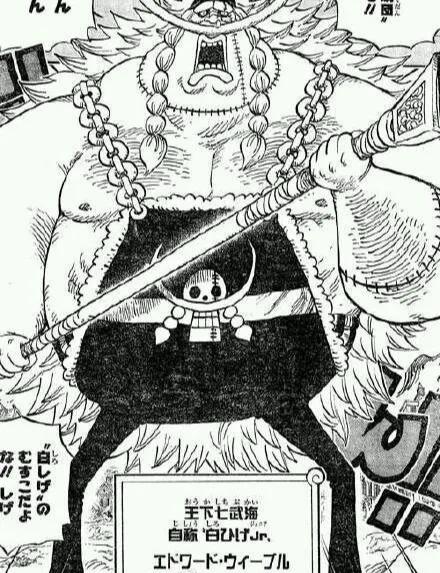 海贼王机械甲,海贼王里特殊的武器