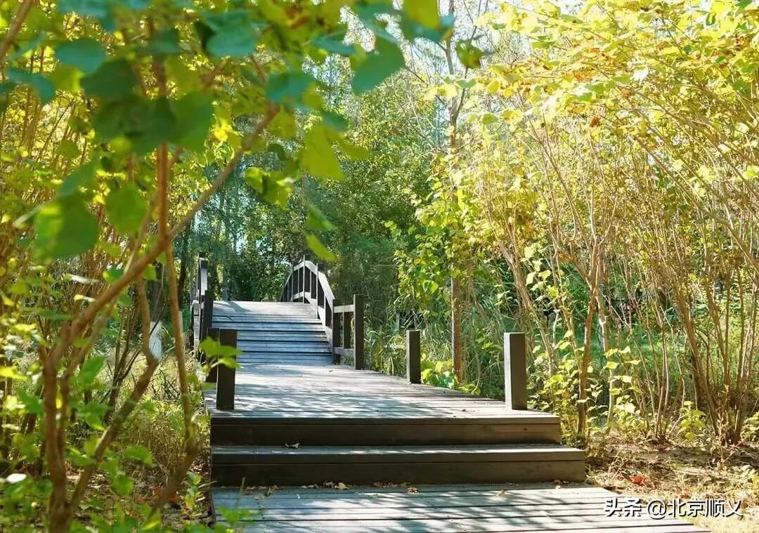 假期最后一天公园,假期结束前逛公园