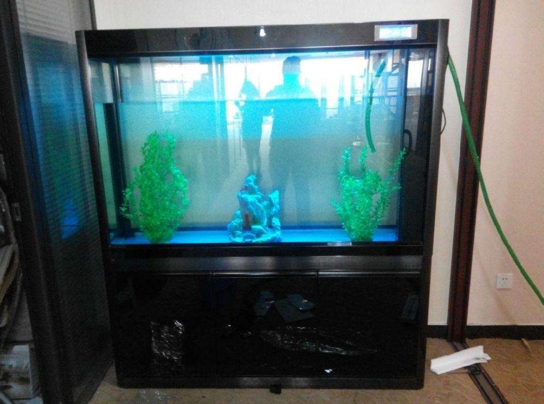 鱼缸噪音太吵怎么解决,鱼缸底滤噪音大还是上过滤噪音大