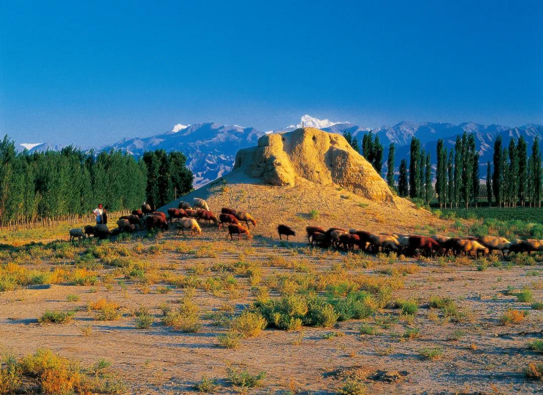 长城2万多公里分布在哪里,2万公里长城全景