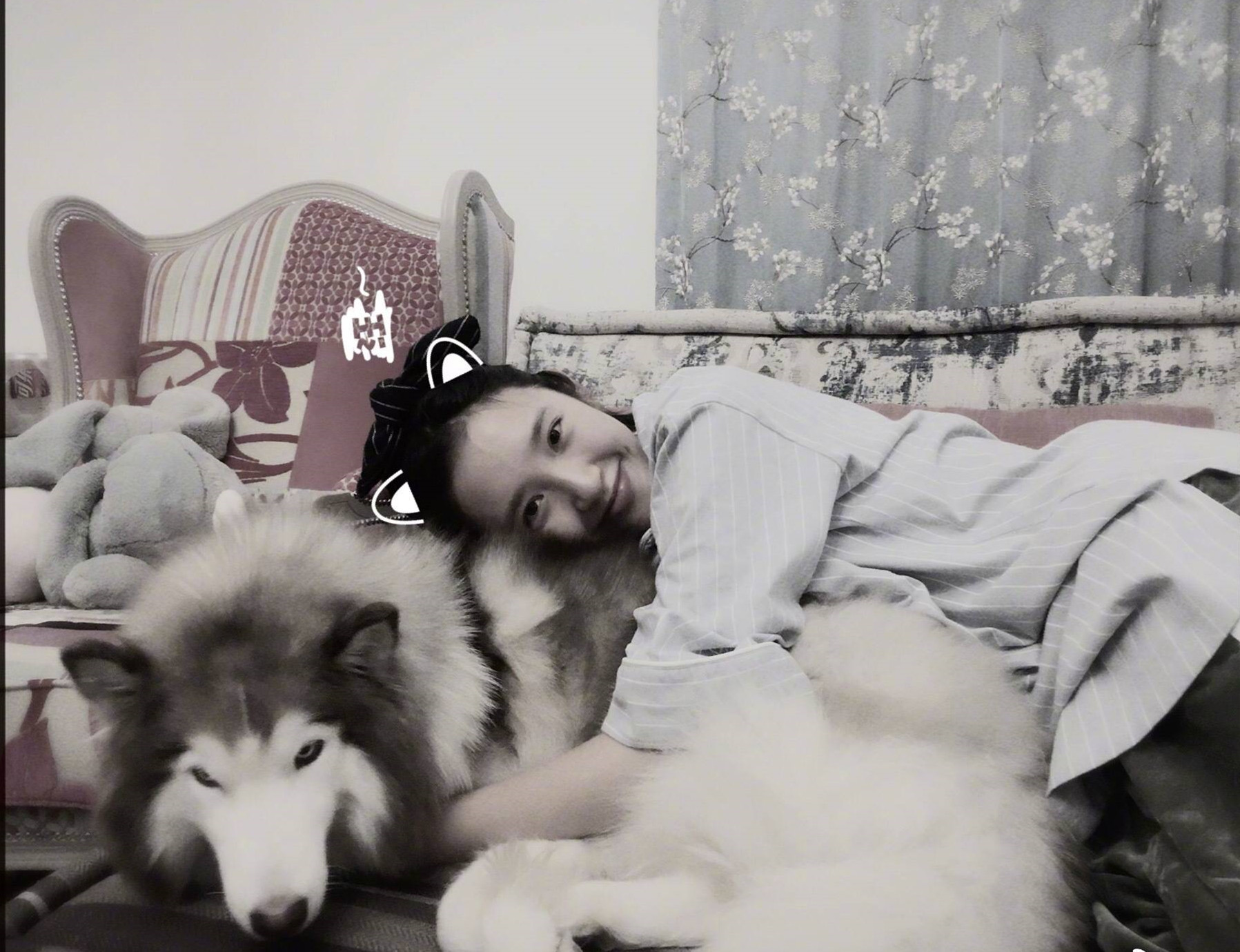 张若昀唐艺昕结婚请柬赠语,张若昀和唐艺昕婚礼宣言